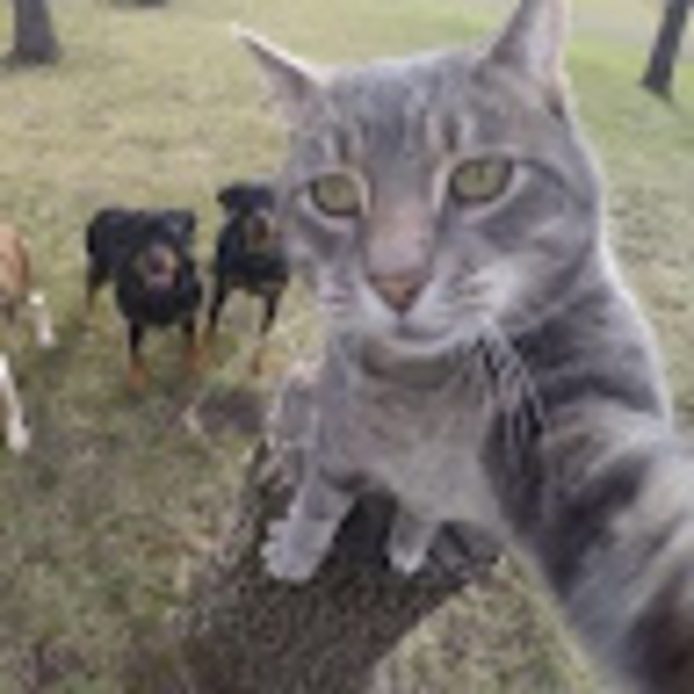 Meet your Posher, Lifeissofun